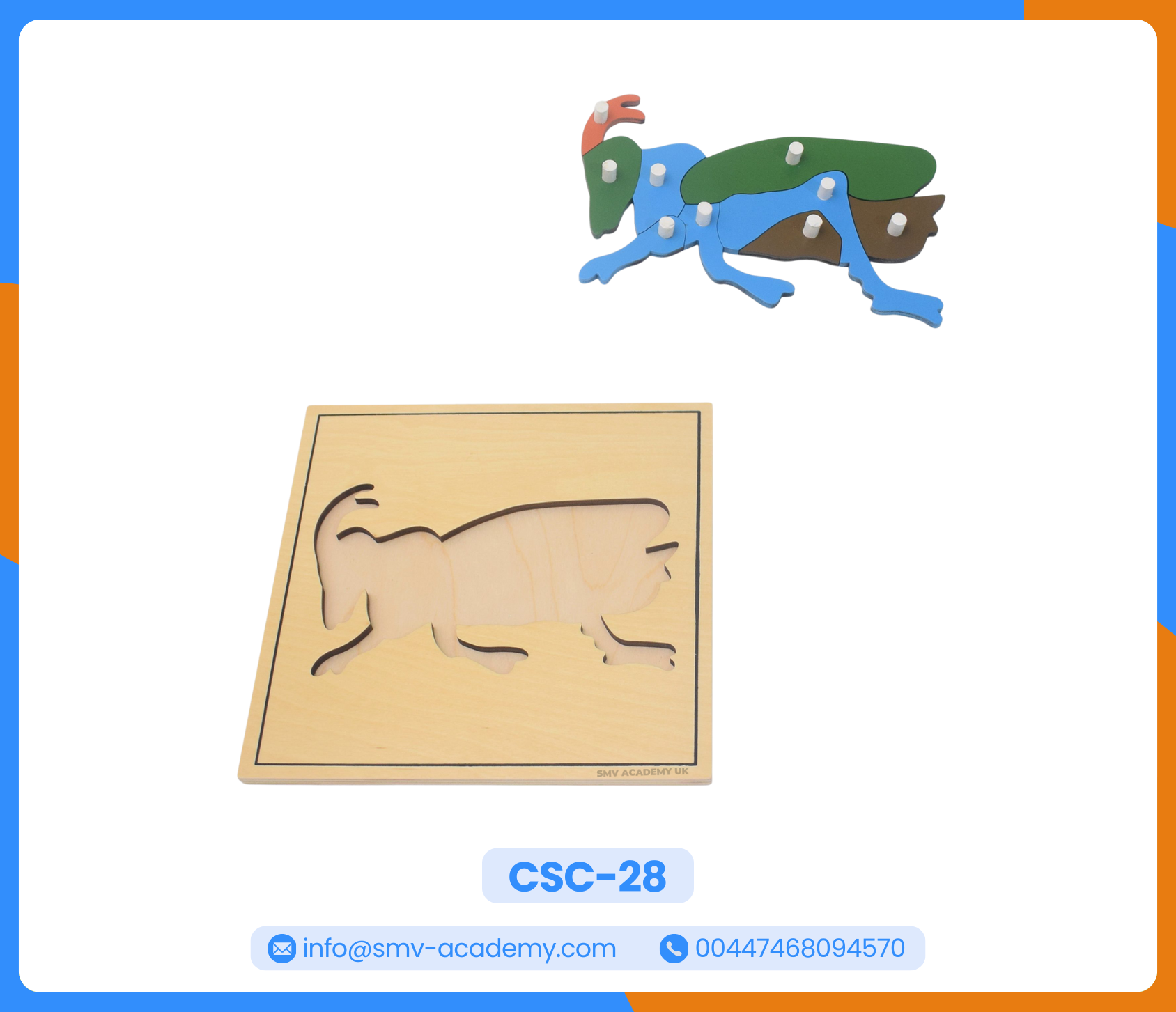 بازل أجزاء الجندب – الجراد